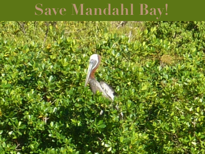 Save Mandahl Bay!