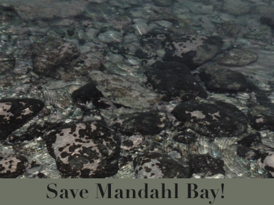 Save Mandahl Bay!