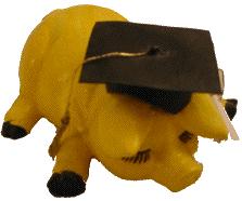 Graduate Pig