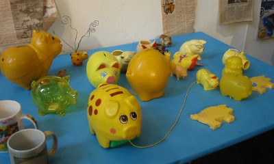 [Some of Kelly's pigs]