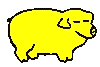 yellow pig