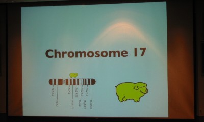 [Chromosome 17]